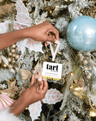 Alpha Gamma Delta Frame Ornament - Tart By Taylor