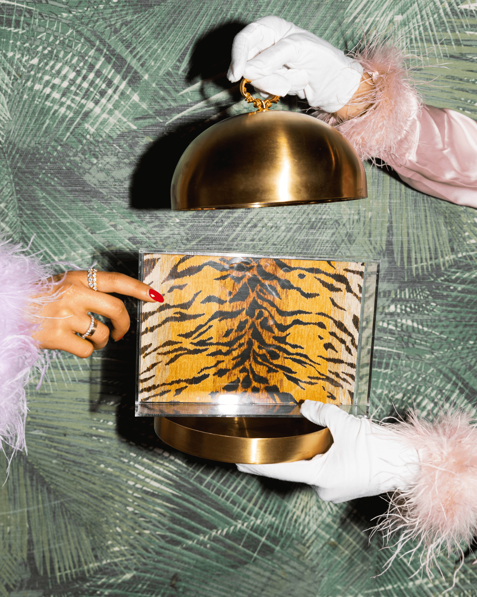 Bengal Print Small Tray - Tart By Taylor