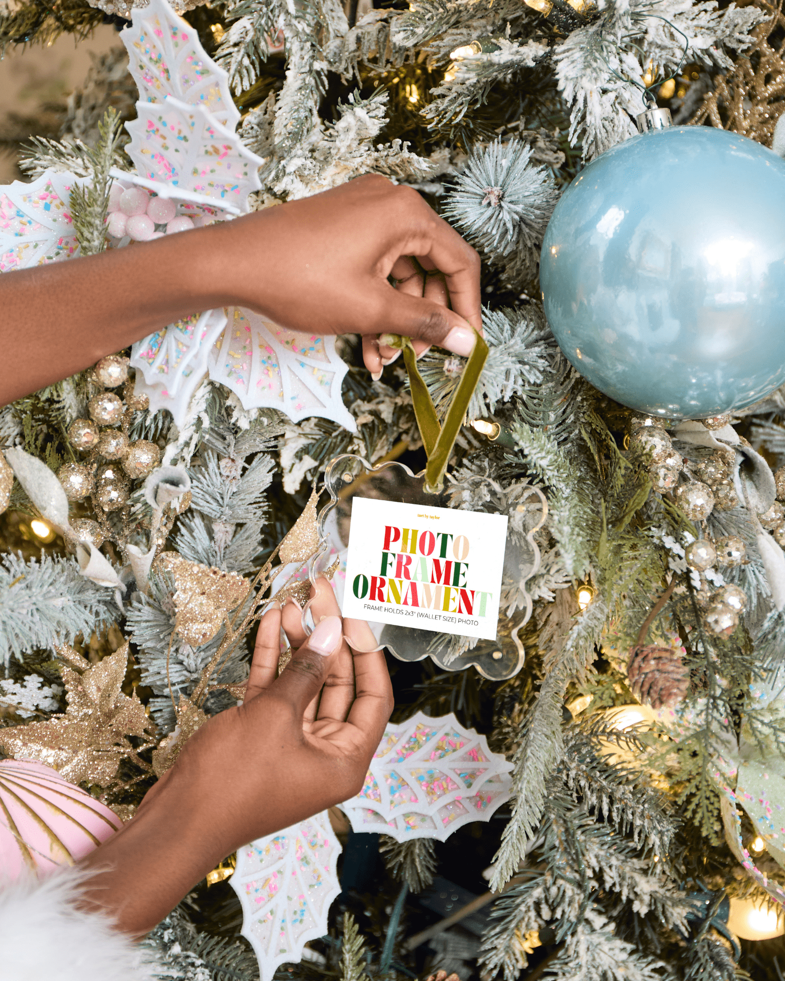 Clear Frame Ornament - Tart By Taylor