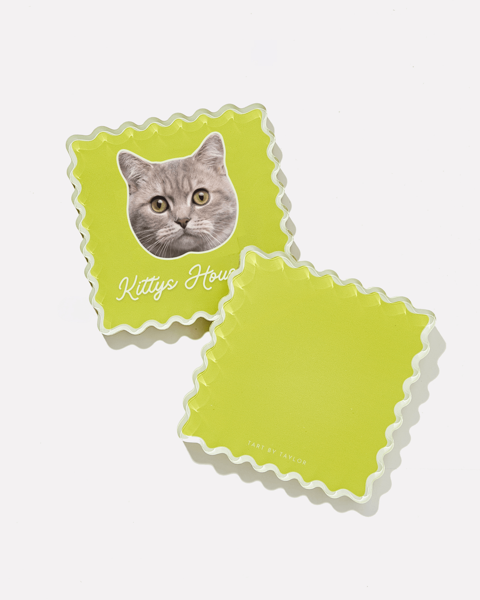 Fluffy Friends Custom Pet Coasters - Tart By Taylor