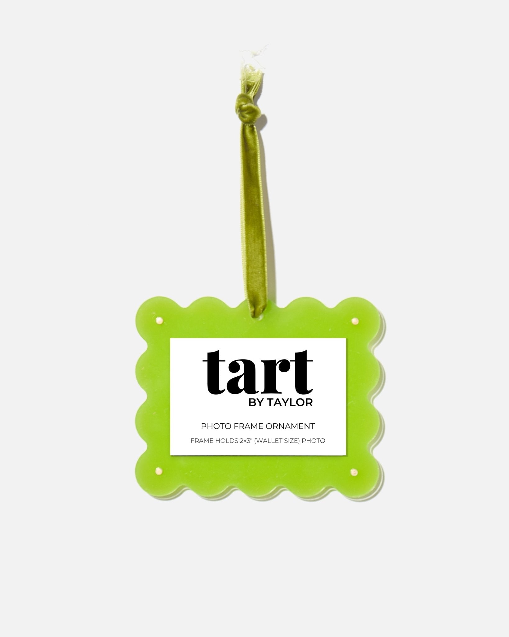 Kiwi Frame Ornament - Tart By Taylor