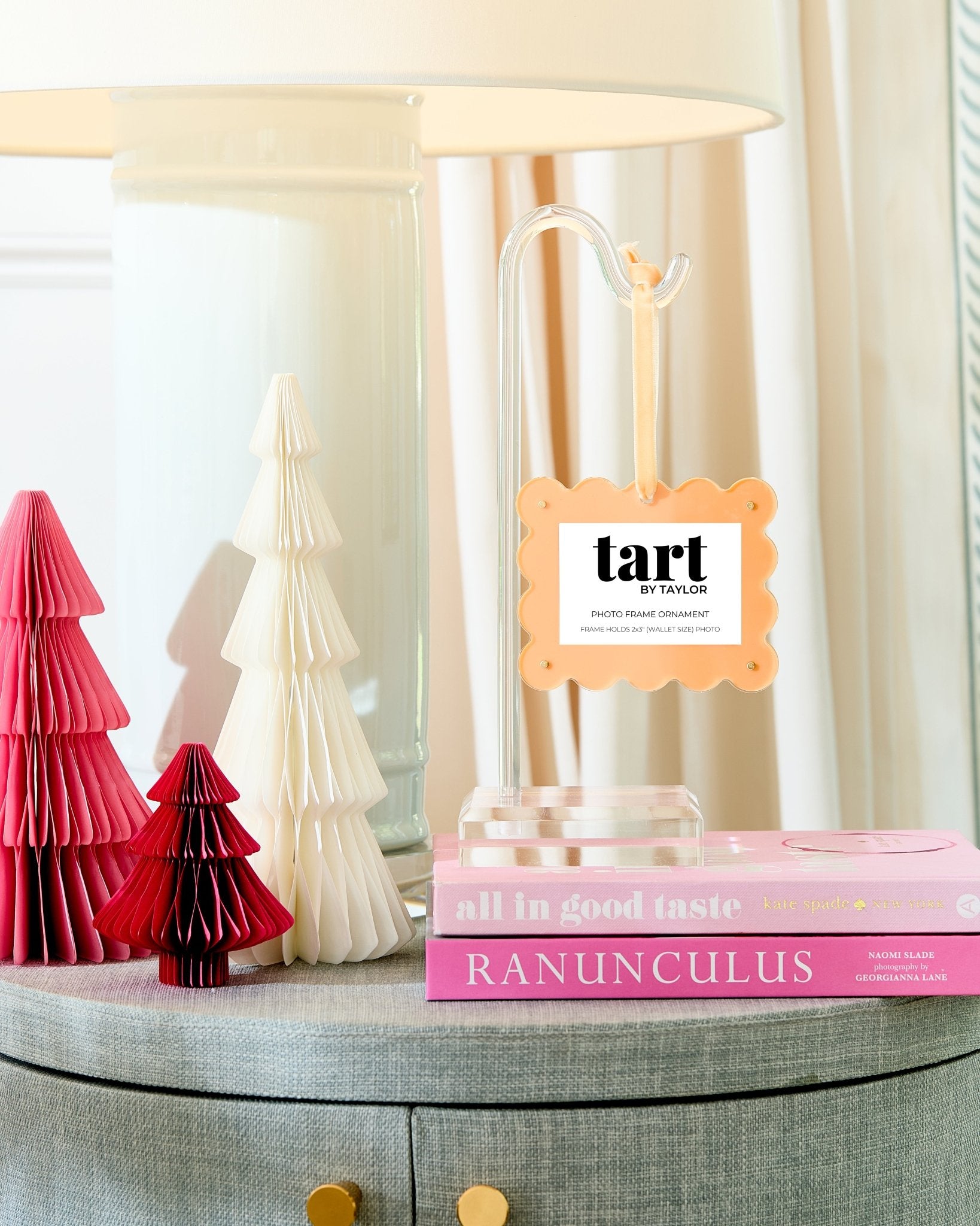 Orange Sherbet Frame Ornament - Tart By Taylor