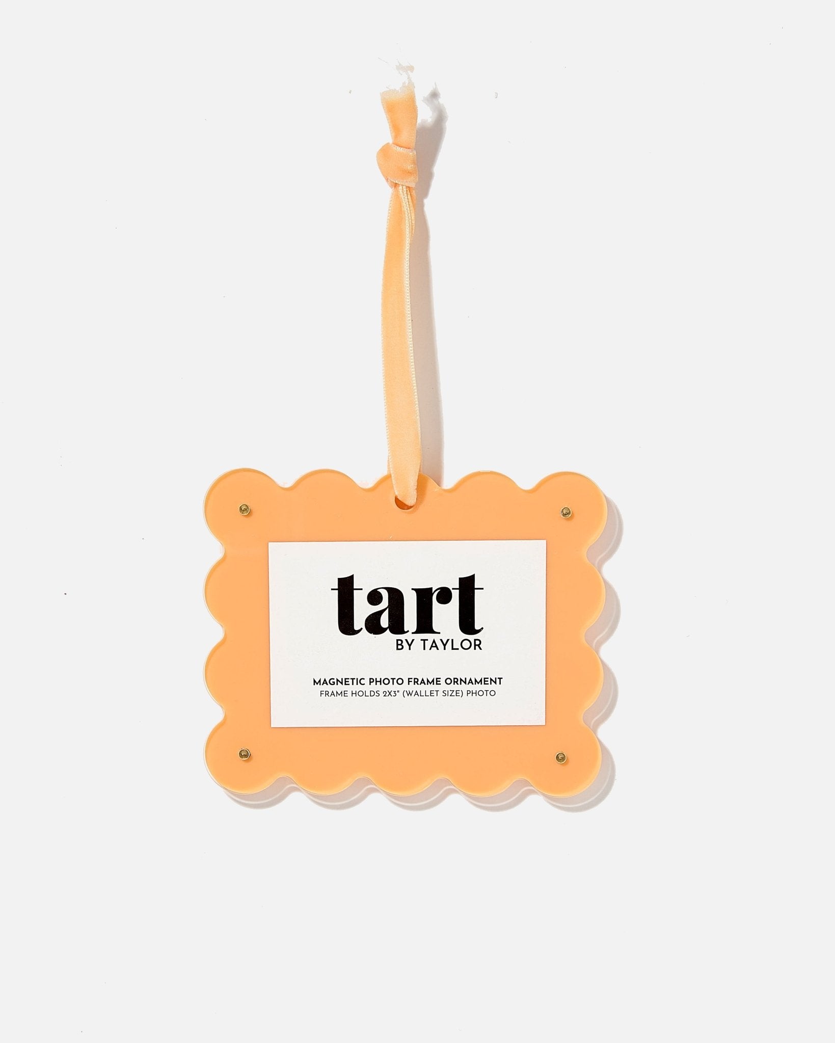 Orange Sherbet Frame Ornament - Tart By Taylor
