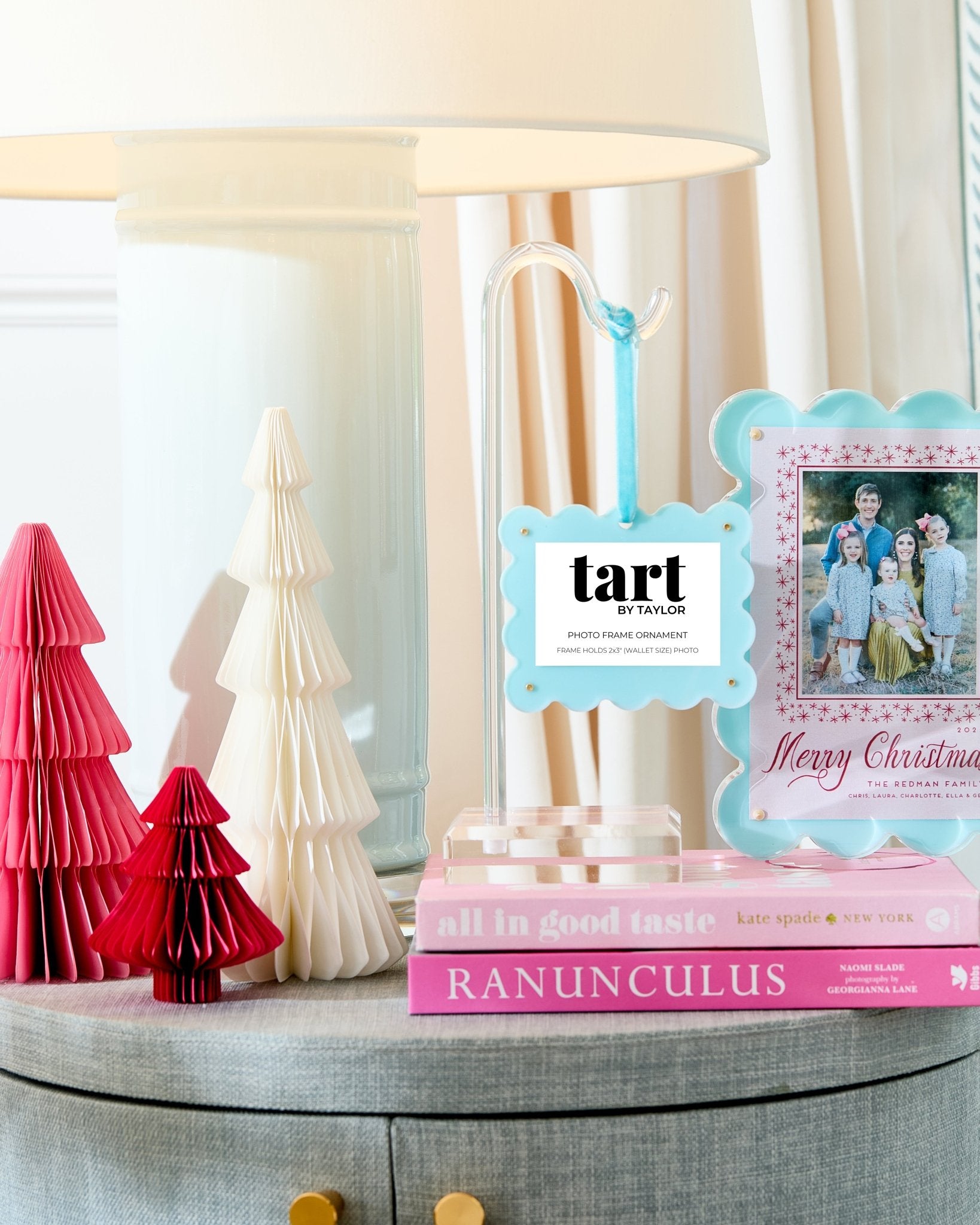 Seafoam Frame Ornament - Tart By Taylor