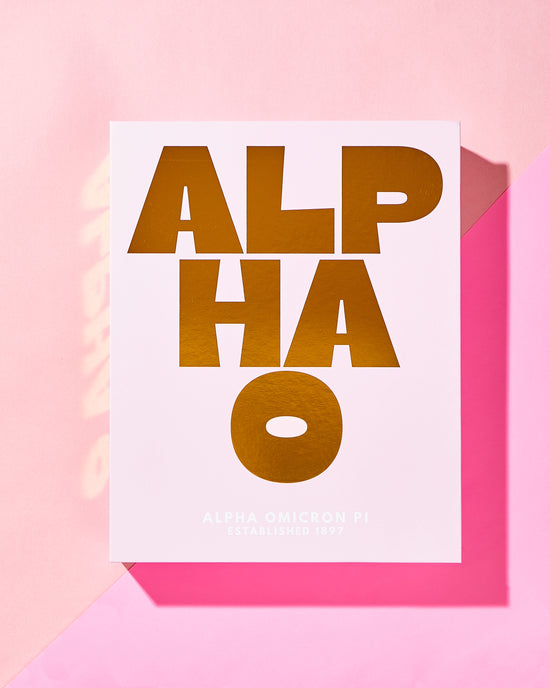 Load image into Gallery viewer, Alpha Omicron Pi | Sorority Bundle
