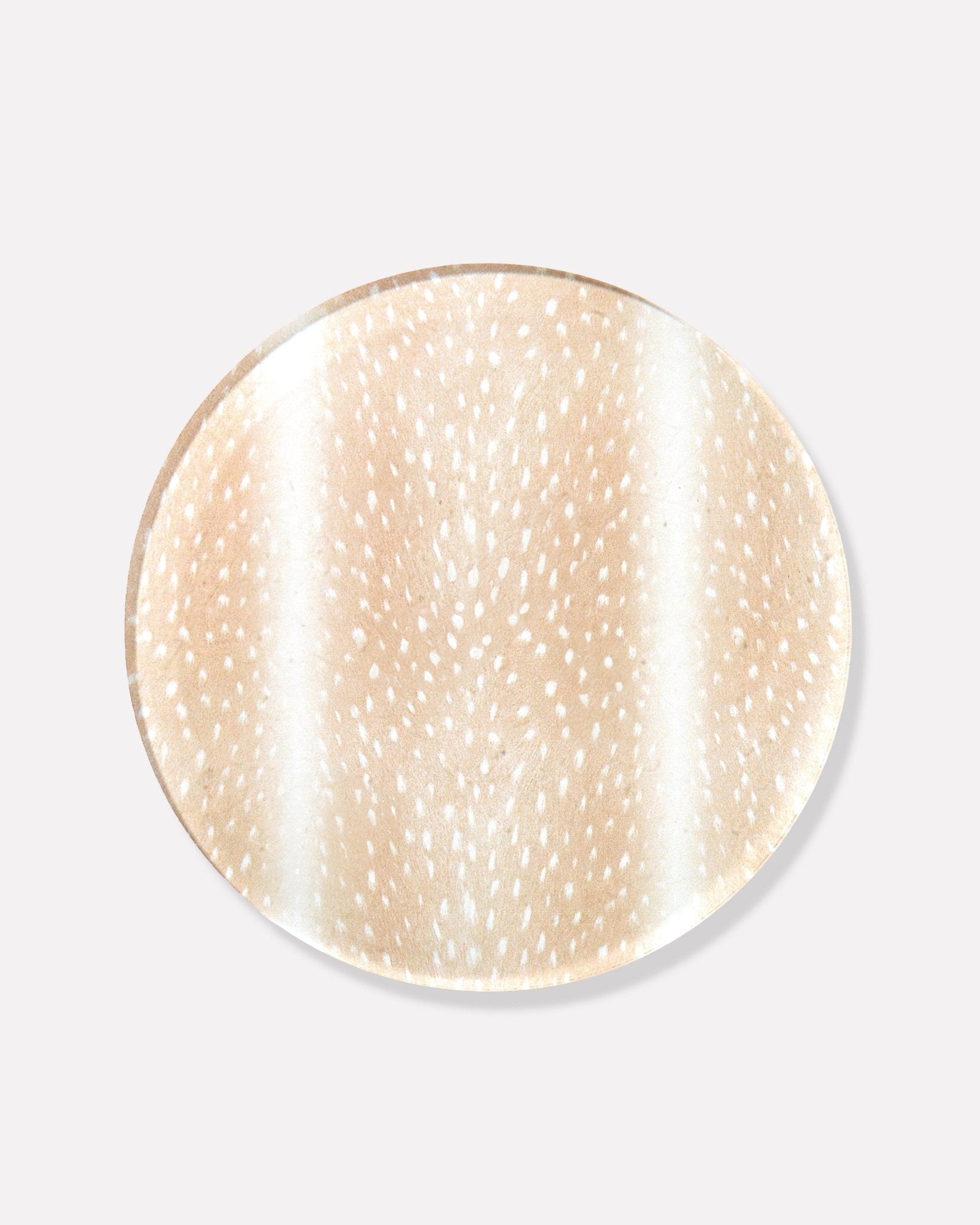 Fawn Print Coasters