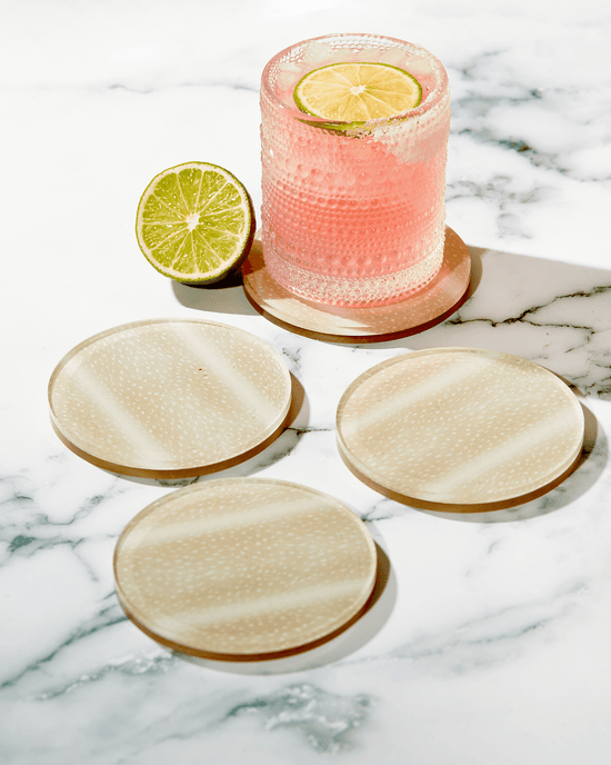 Fawn Print Coasters - Tart By Taylor