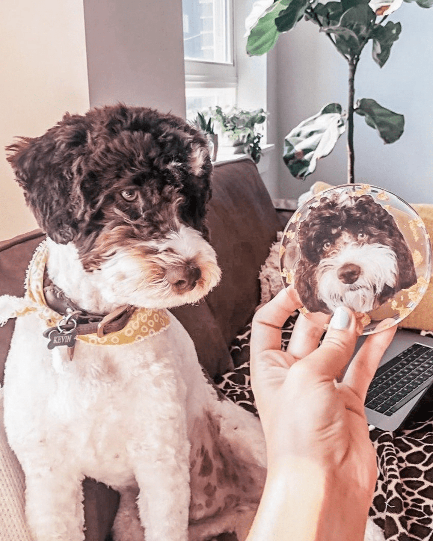 Fluffy Friends Coasters - Tart By Taylor