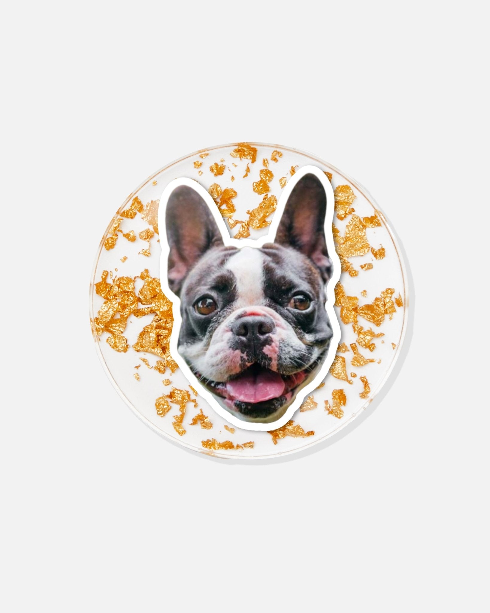 Fluffy Friends Coasters - Tart By Taylor