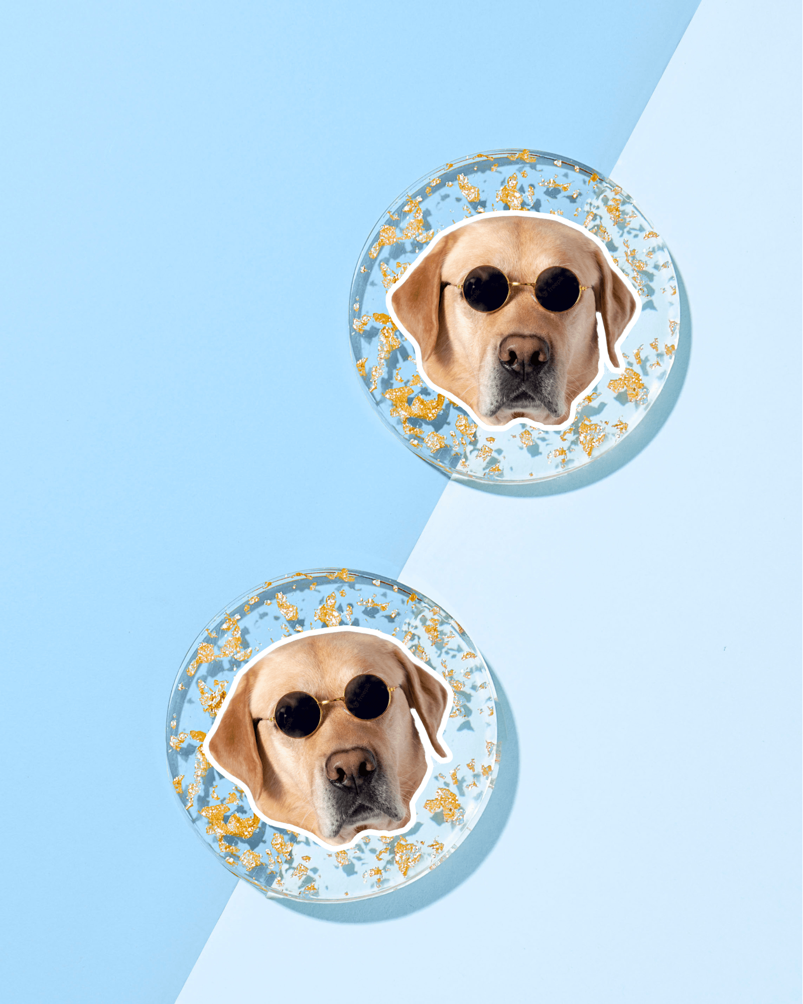 Fluffy Friends Coasters - Thumbnail 4