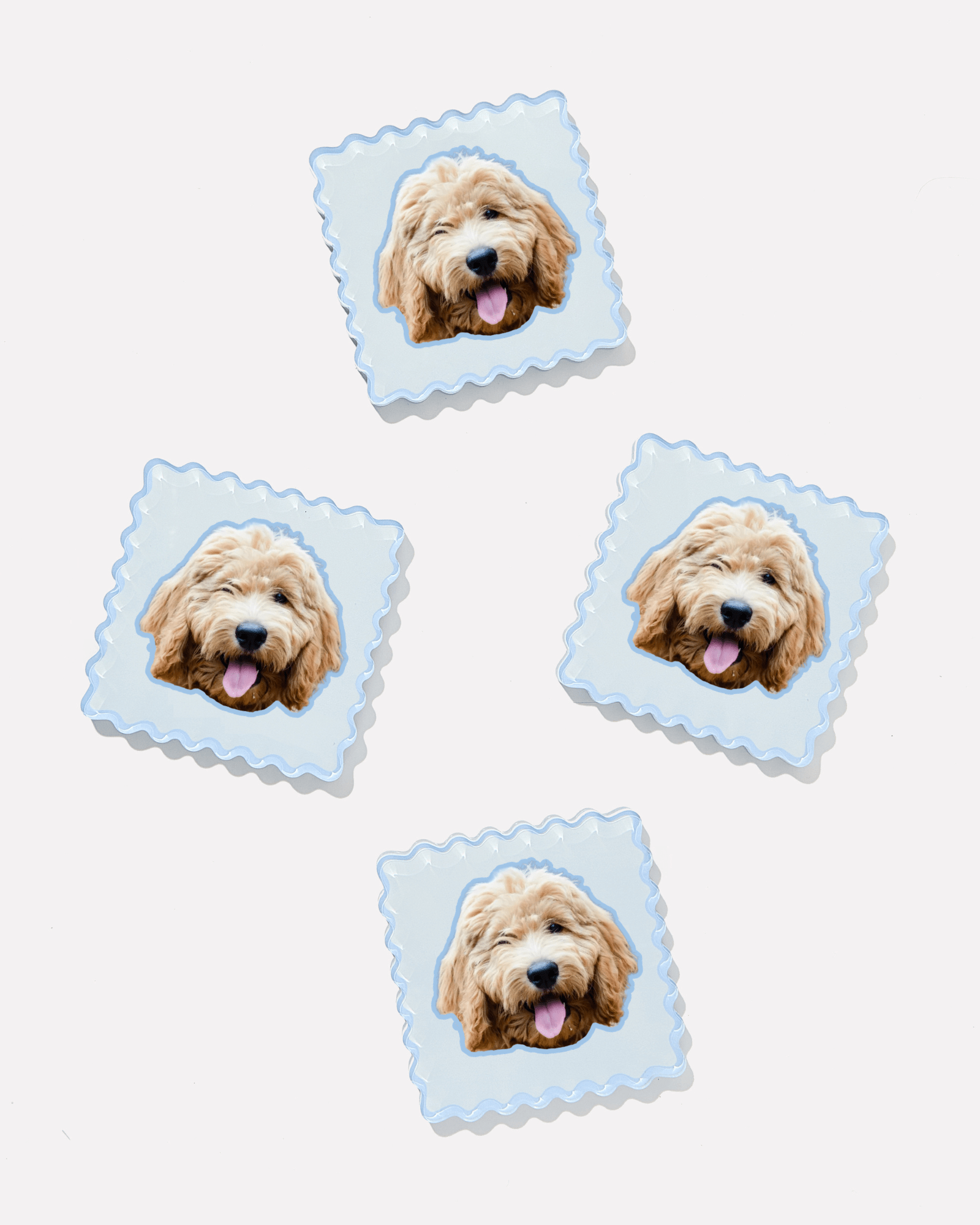 Fluffy Friends Custom Pet Coasters - Tart By Taylor