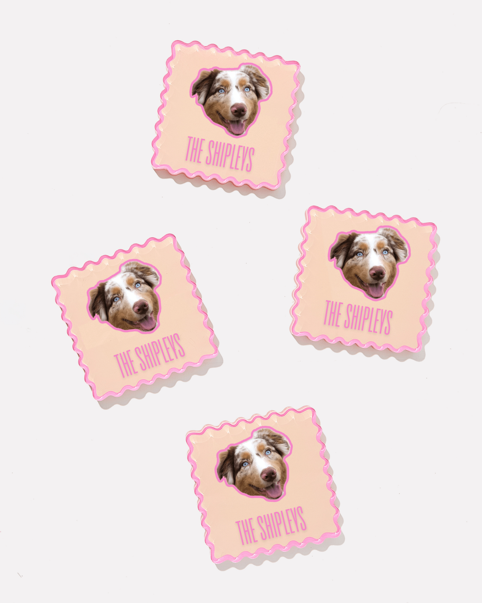 Fluffy Friends Custom Pet Coasters - Tart By Taylor