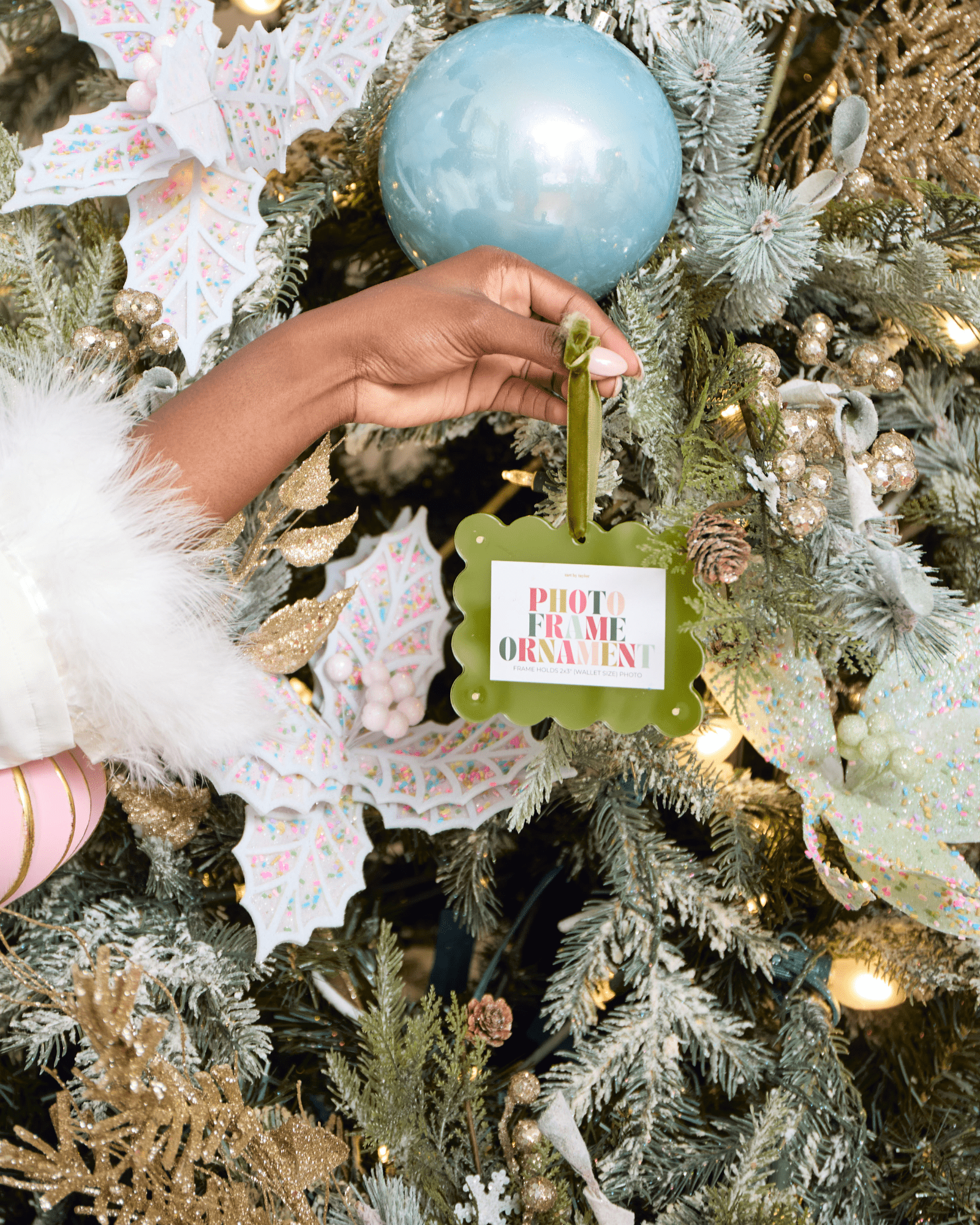 Kiwi Frame Ornament - Thumbnail 2