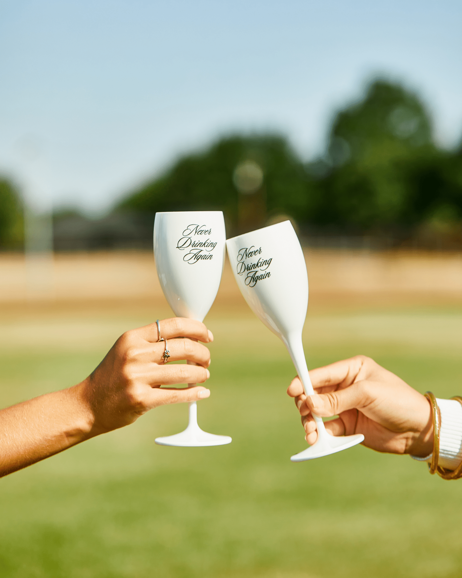 Never Drinking Again Flutes