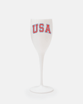 USA Champagne Flute (Set of 2)
